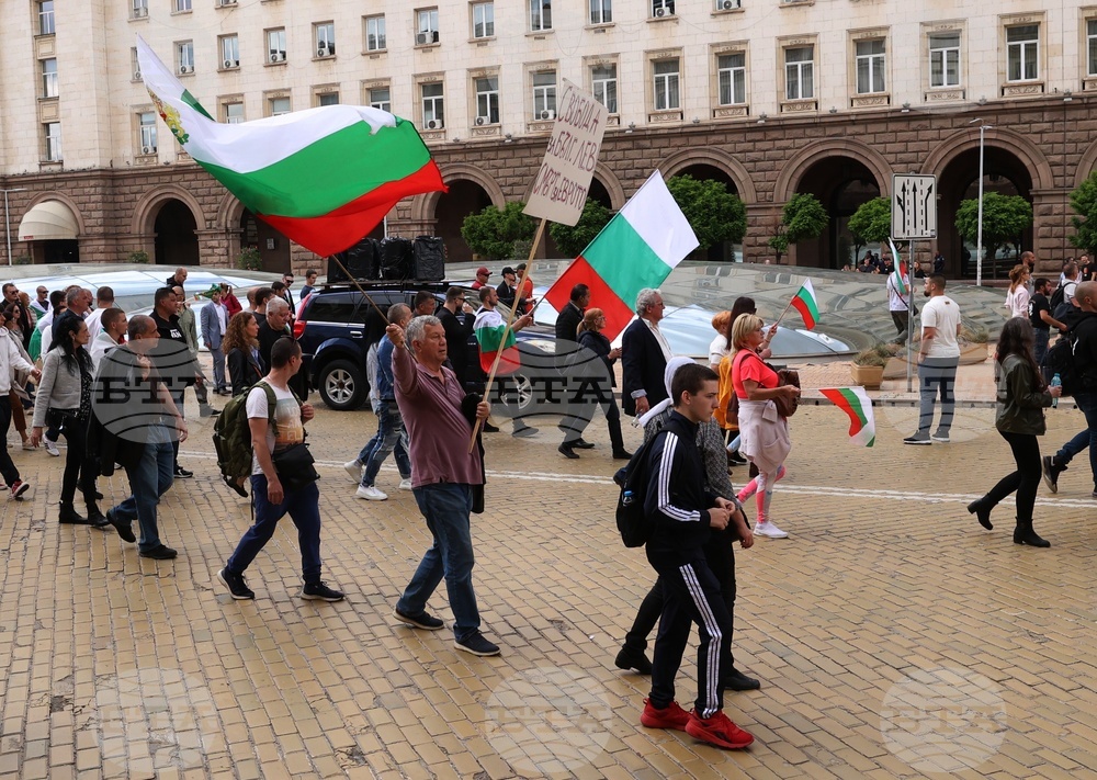 „Искаме си лева! Искаме си референдума“ - протест