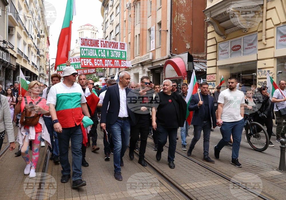 „Искаме си лева! Искаме си референдума“ - протест