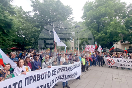 Стара Загора - протест - лев
