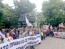 Стара Загора - протест - лев