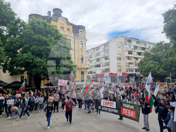 Стара Загора - протест - лев