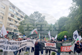 Стара Загора - протест - лев