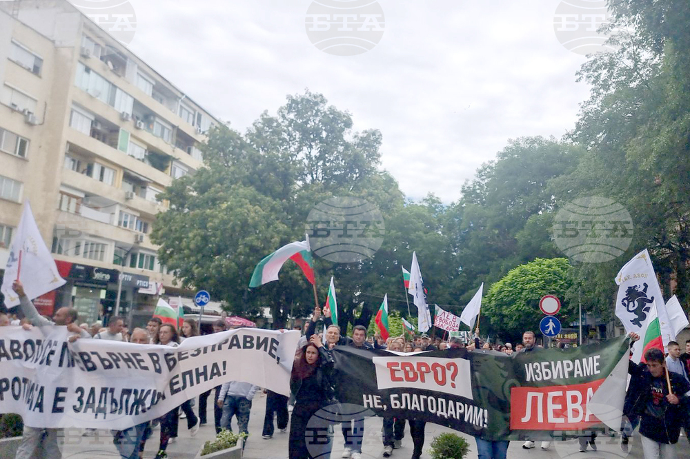 Стара Загора - протест - лев