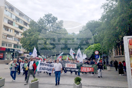 Стара Загора - протест - лев