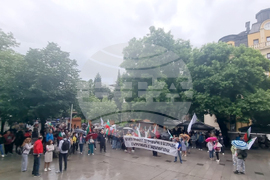 Стара Загора - протест - лев