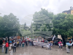 Стара Загора - протест - лев