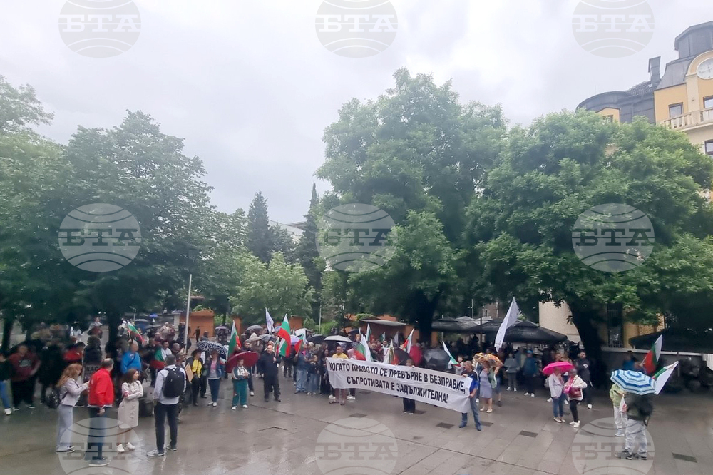 Стара Загора - протест - лев