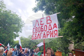 Стара Загора - протест - лев
