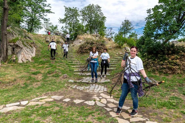 В Пловдив се състоя акция по премахване на изсъхнали дървесни видове от Сахат тепе