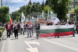 Велико Търново - протестно шествие - евро