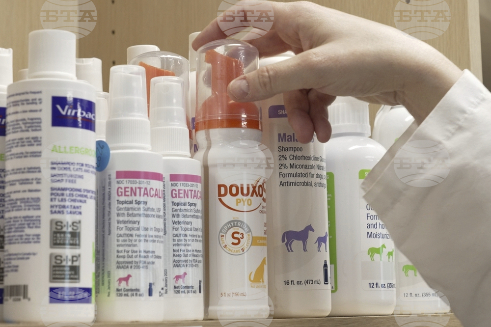 Be Well-Allergic Pets