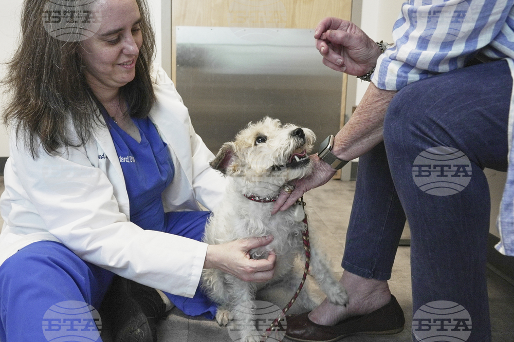 Be Well-Allergic Pets