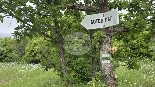 Подменят информационни табла по Ботевия път от Козлодуй до Околчица
