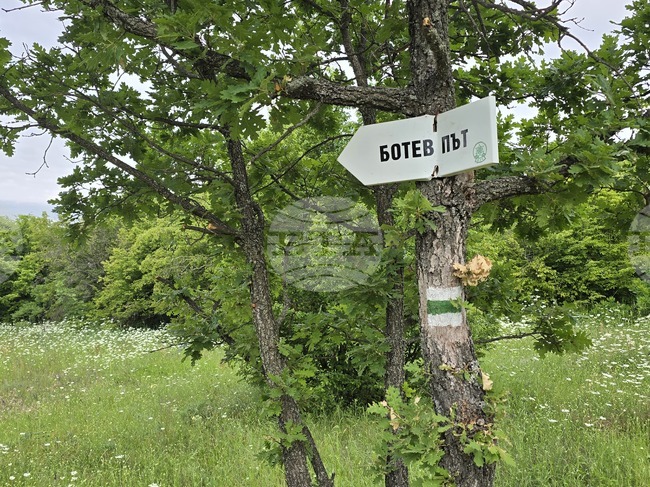 Подменят информационни табла по Ботевия път от Козлодуй до Околчица