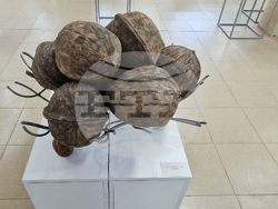 Село Орешак - 50 години Художествено училище - изложба