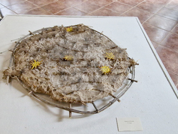 Село Орешак - 50 години Художествено училище - изложба