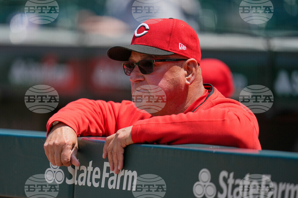 Reds Cubs Baseball