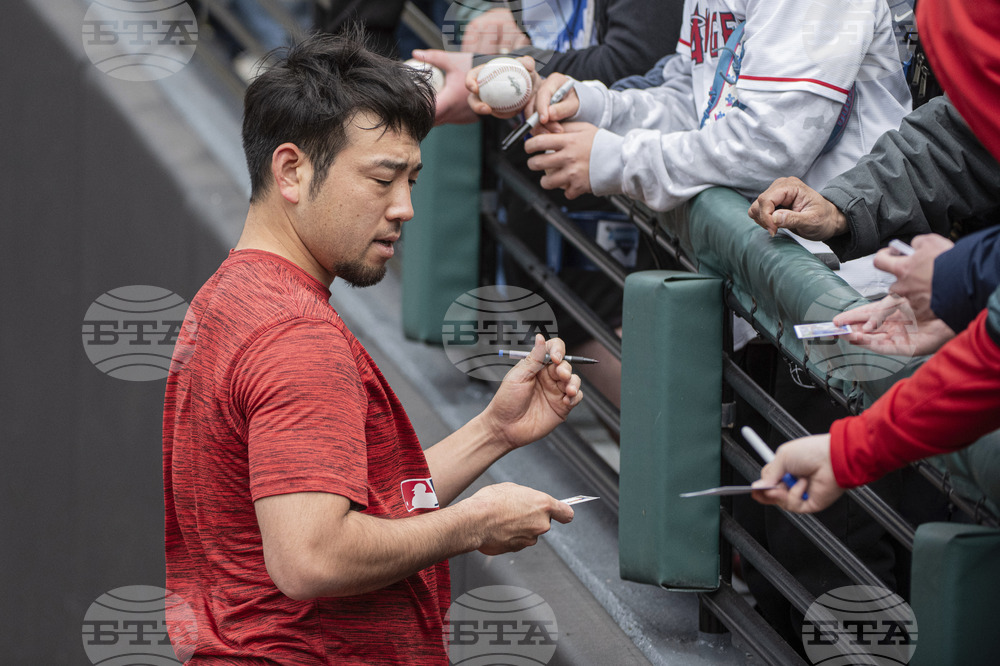 Angels Guardians Baseball
