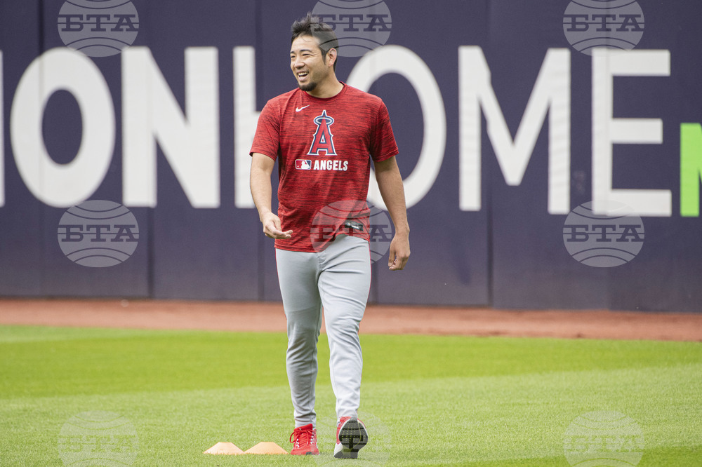Angels Guardians Baseball
