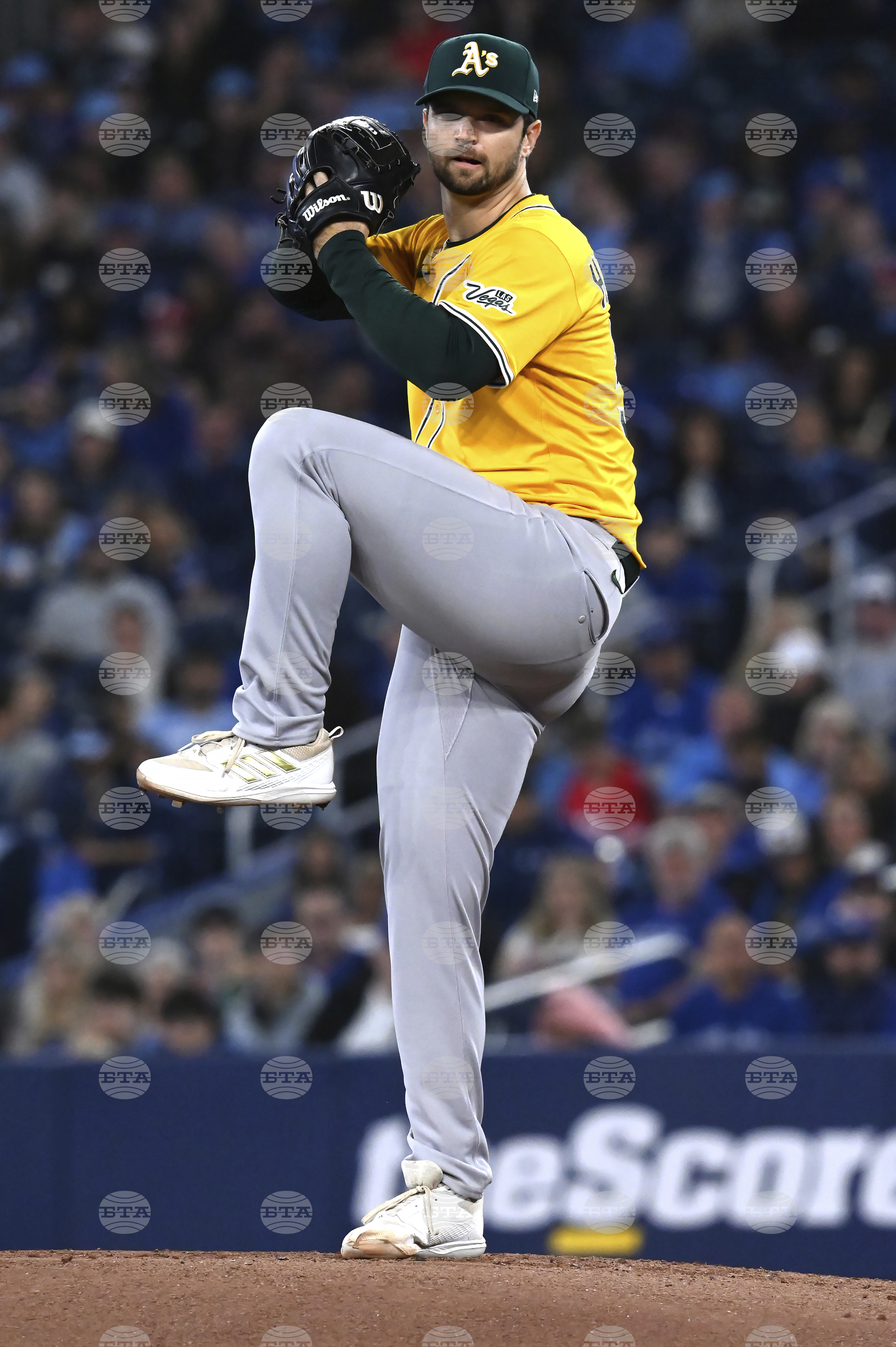 Athletics Blue Jays Baseball