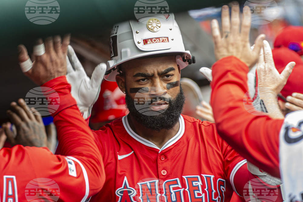 Angels Guardians Baseball