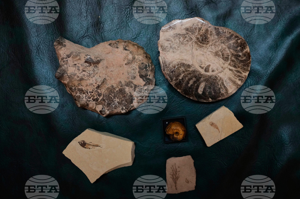 India Artifact Collector
