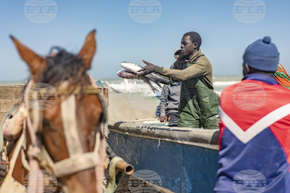Senegal Fishing Natural Gas