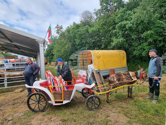 Третият ден от Националния събор на овцевъдите е посветен на Деня на детето