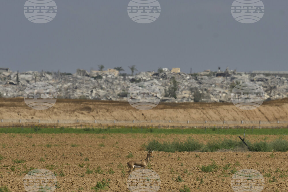 Israel Palestinians