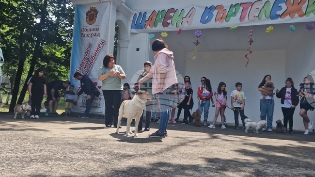 Малчугани, родители и техните домашни любимци се забавляваха заедно на детски празник в парка в Разград