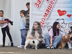 Разград - домашни любимци - празник