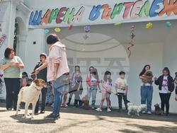 Разград - домашни любимци - празник