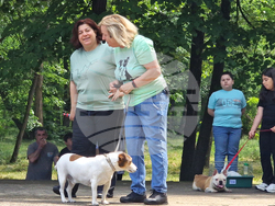 Разград - домашни любимци - празник