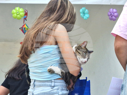 Разград - домашни любимци - празник