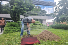 Стара Загора - 1 юни - фестивал „Златната липа“