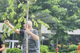 Стара Загора - 1 юни - фестивал „Златната липа“