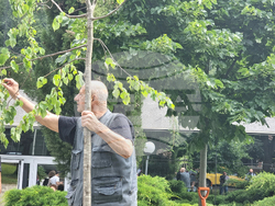 Стара Загора - 1 юни - фестивал „Златната липа“