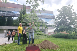 Стара Загора - 1 юни - фестивал „Златната липа“