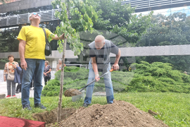 Стара Загора - 1 юни - фестивал „Златната липа“
