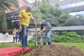 Стара Загора - 1 юни - фестивал „Златната липа“