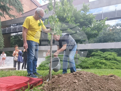 Стара Загора - 1 юни - фестивал „Златната липа“