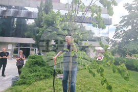 Стара Загора - 1 юни - фестивал „Златната липа“