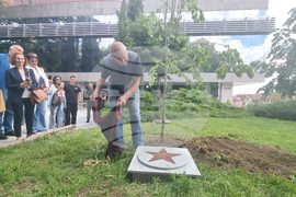 Стара Загора - 1 юни - фестивал „Златната липа“