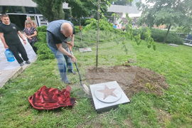 Стара Загора - 1 юни - фестивал „Златната липа“