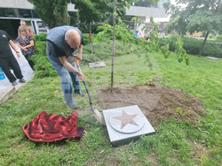 Стара Загора - 1 юни - фестивал „Златната липа“