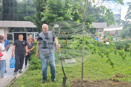 Стара Загора - 1 юни - фестивал „Златната липа“