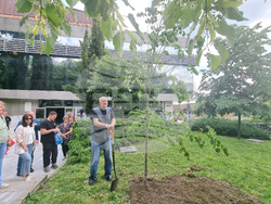 Стара Загора - 1 юни - фестивал „Златната липа“