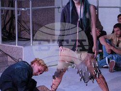 Пловдив - „One Dance Festival - колектив Trevoga - спектакъл