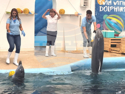 Варна - Делфинариум - Ден на детето