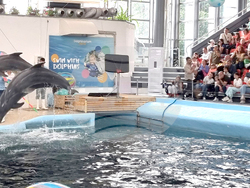 Варна - Делфинариум - Ден на детето